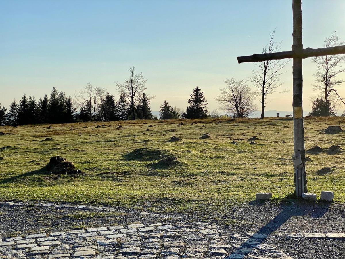 Astenturm (adults Only) 3* Winterberg