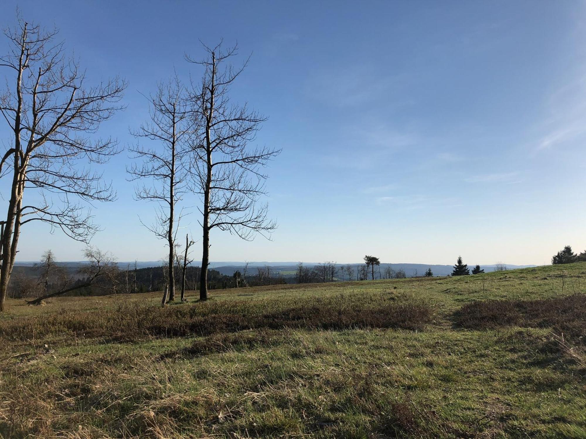Astenturm (adults Only) Winterberg